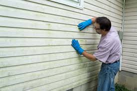 Best Vinyl Siding Installation  in Pecos, TX